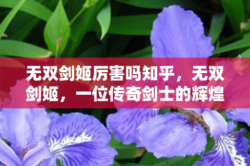 无双剑姬厉害吗知乎，无双剑姬，一位传奇剑士的辉煌与传奇