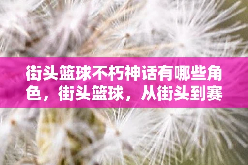 街头篮球不朽神话有哪些角色，街头篮球，从街头到赛场的华丽蜕变