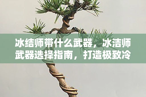 冰结师带什么武器，冰洁师武器选择指南，打造极致冷冻效果