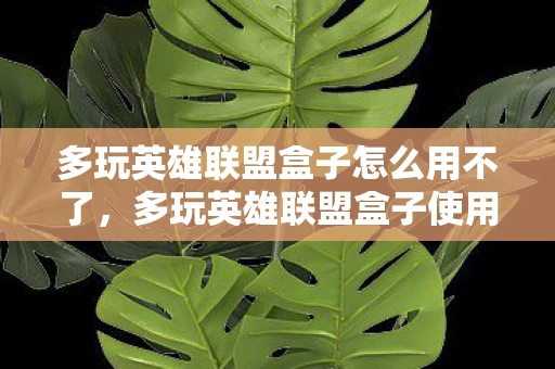 多玩英雄联盟盒子怎么用不了，多玩英雄联盟盒子使用指南，打造你的游戏新体验