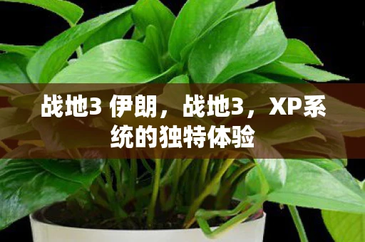 战地3 伊朗，战地3，XP系统的独特体验