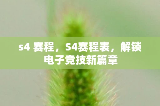 s4 赛程，S4赛程表，解锁电子竞技新篇章
