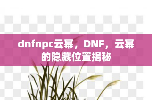 dnfnpc云幂，DNF，云幂的隐藏位置揭秘