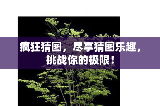 尽享猜图乐趣图片