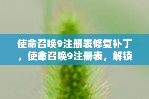 使命召唤9注册表修复补丁，使命召唤9注册表，解锁游戏隐藏功能的神秘钥匙