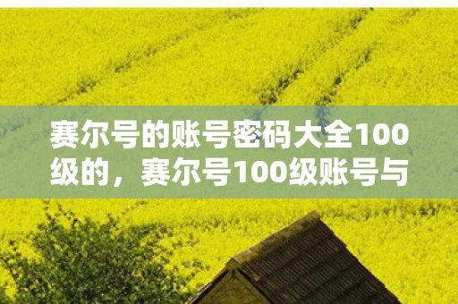 赛尔号的账号密码大全100级的，赛尔号100级账号与密码的获取，合法性与安全性探讨