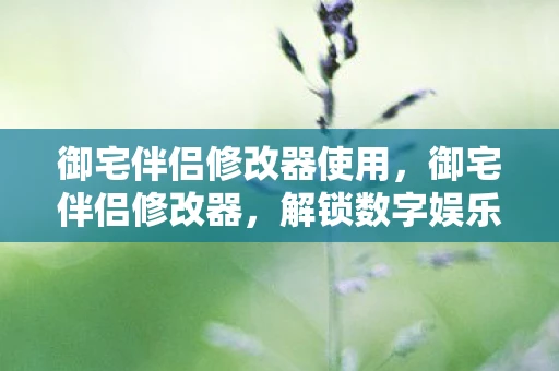 御宅伴侣修改器使用，御宅伴侣修改器，解锁数字娱乐的新境界