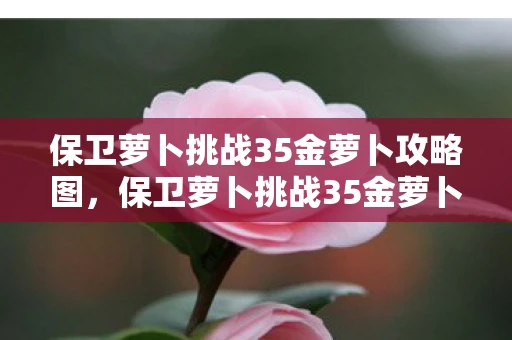 保卫萝卜挑战35金萝卜攻略图，保卫萝卜挑战35金萝卜攻略