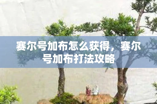 赛尔号加布怎么获得，赛尔号加布打法攻略