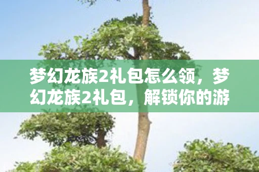 梦幻龙族2礼包怎么领，梦幻龙族2礼包，解锁你的游戏之旅