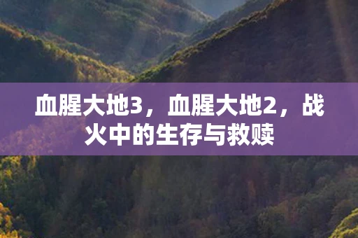 血腥大地3，血腥大地2，战火中的生存与救赎