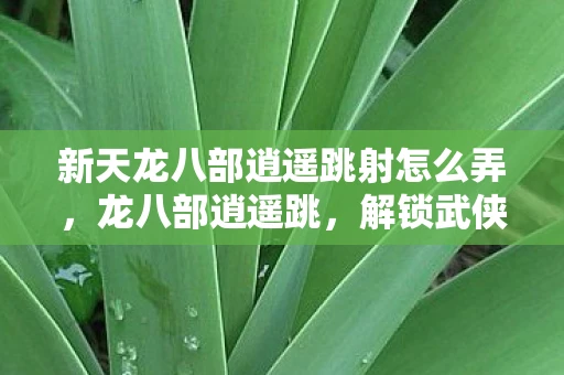 新天龙八部逍遥跳射怎么弄，龙八部逍遥跳，解锁武侠世界的轻功秘籍