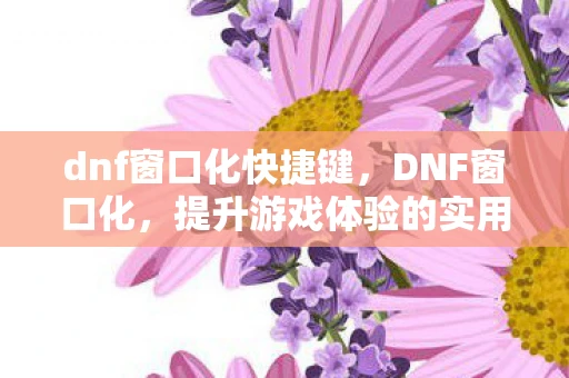 dnf窗口化快捷键，DNF窗口化，提升游戏体验的实用技巧