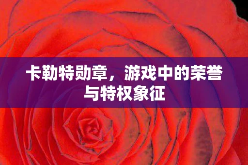 游戏中的荣誉与特权象征图片