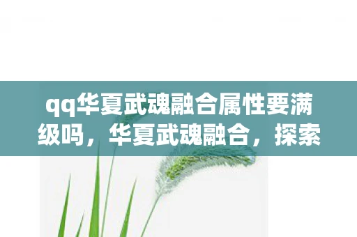 qq华夏武魂融合属性要满级吗，华夏武魂融合，探索QQ华夏的神秘世界