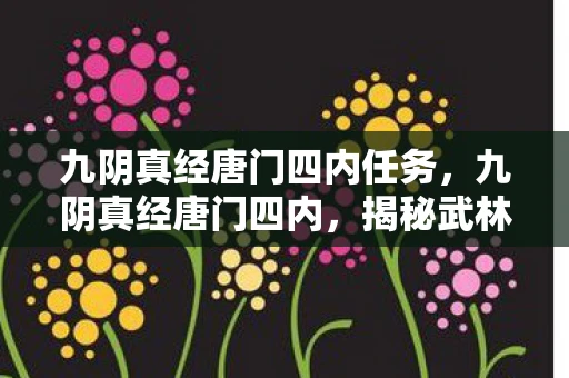 九阴真经唐门四内任务，九阴真经唐门四内，揭秘武林绝学的奥秘