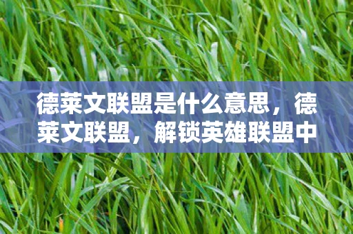 德莱文联盟是什么意思，德莱文联盟，解锁英雄联盟中的致命射手