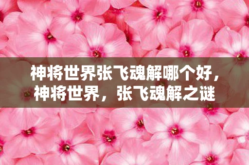 神将世界张飞魂解哪个好，神将世界，张飞魂解之谜