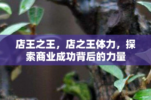 店王之王，店之王体力，探索商业成功背后的力量