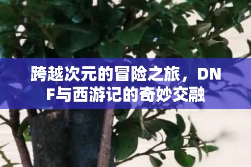 DNF与西游记的奇妙交融图片