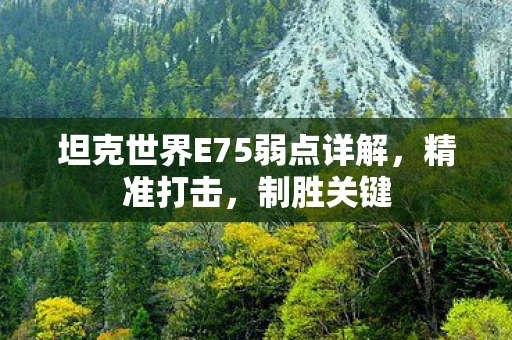 坦克世界E75弱点详解，精准打击，制胜关键