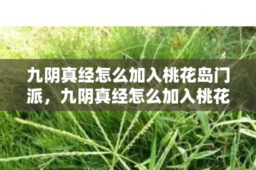 九阴真经怎么加入桃花岛门派，九阴真经怎么加入桃花岛