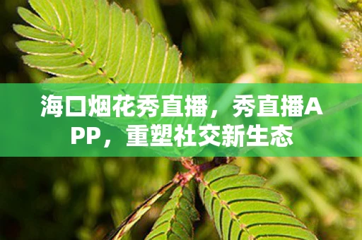 海口烟花秀直播，秀直播APP，重塑社交新生态