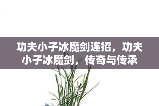 功夫小子冰魔剑连招，功夫小子冰魔剑，传奇与传承