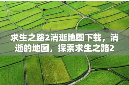 求生之路2消逝地图下载，消逝的地图，探索求生之路2中的未知领域