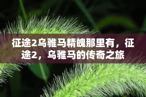 征途2乌骓马精魄那里有，征途2，乌骓马的传奇之旅