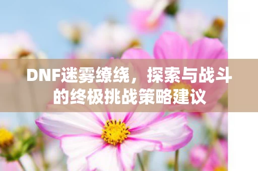 探索与战斗的终极挑战策略建议图片