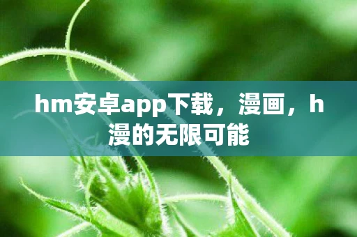 hm安卓app下载，漫画，h漫的无限可能