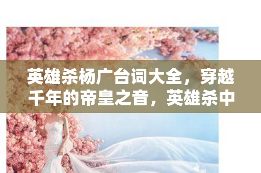 英雄杀杨广台词大全，穿越千年的帝皇之音，英雄杀中杨广的台词解析