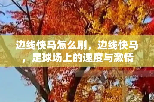 边线快马怎么刷，边线快马，足球场上的速度与激情