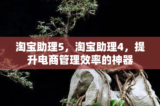 淘宝助理5，淘宝助理4，提升电商管理效率的神器