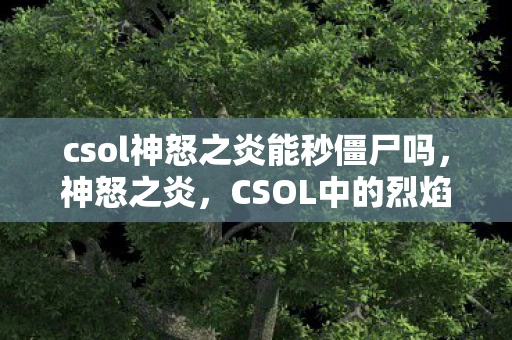 csol神怒之炎能秒僵尸吗，神怒之炎，CSOL中的烈焰传奇