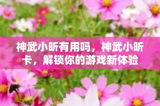 神武小昕有用吗，神武小昕卡，解锁你的游戏新体验