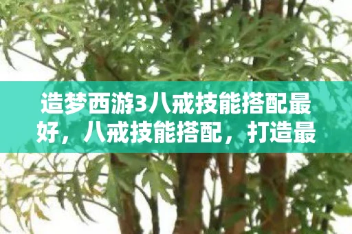 造梦西游3八戒技能搭配最好，八戒技能搭配，打造最强战斗猪