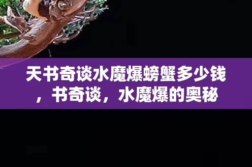 天书奇谈水魔爆螃蟹多少钱，书奇谈，水魔爆的奥秘