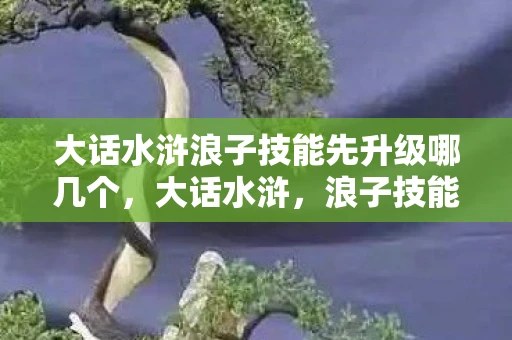 大话水浒浪子技能先升级哪几个，大话水浒，浪子技能解析