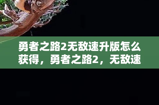勇者之路2无敌速升版怎么获得，勇者之路2，无敌速升版，解锁你的冒险之旅