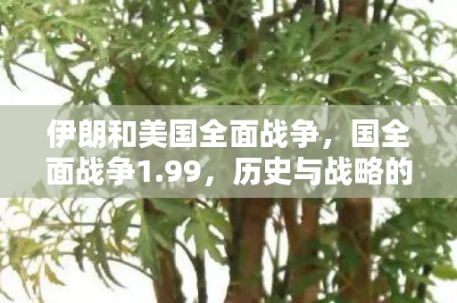 伊朗和美国全面战争，国全面战争1.99，历史与战略的交汇点