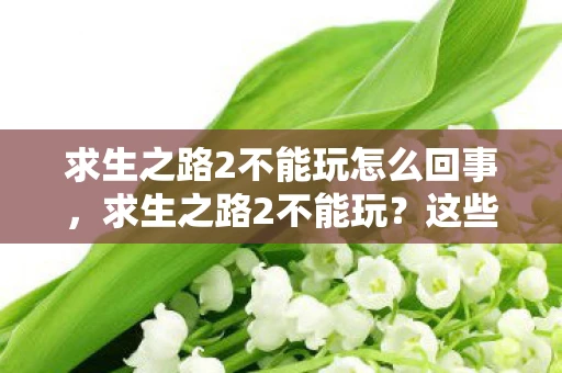 求生之路2不能玩怎么回事，求生之路2不能玩？这些解决方案或许能帮到你