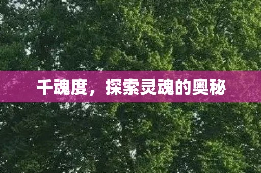 千魂度，探索灵魂的奥秘