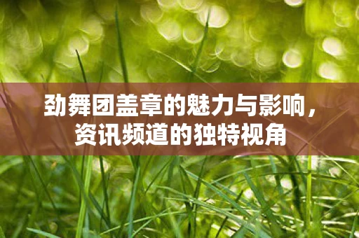 劲舞团盖章的魅力与影响图片