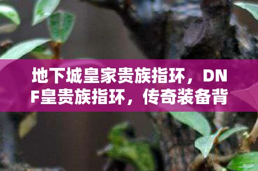 地下城皇家贵族指环，DNF皇贵族指环，传奇装备背后的故事与属性解析