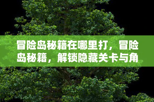 冒险岛秘籍在哪里打，冒险岛秘籍，解锁隐藏关卡与角色攻略