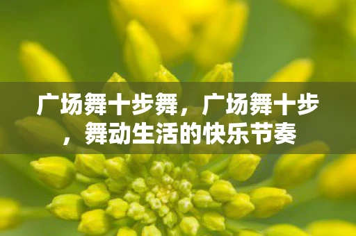 广场舞十步舞，广场舞十步，舞动生活的快乐节奏
