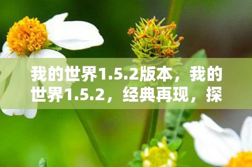 我的世界1.5.2版本，我的世界1.5.2，经典再现，探索无限可能