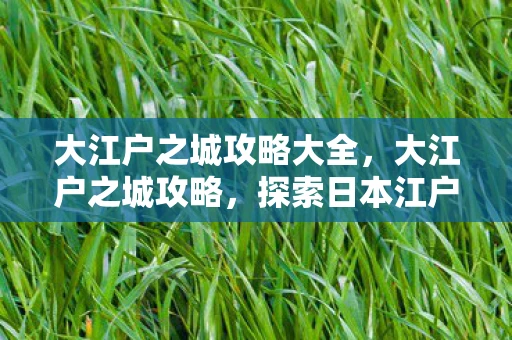 大江户之城攻略大全，大江户之城攻略，探索日本江户时代的魅力